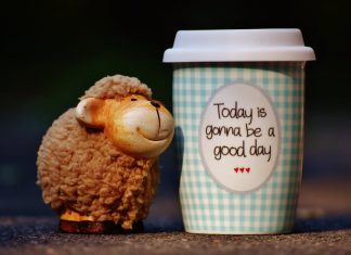 See the Goodness in Others See the Goodness in Others