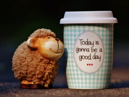 See the Goodness in Others
