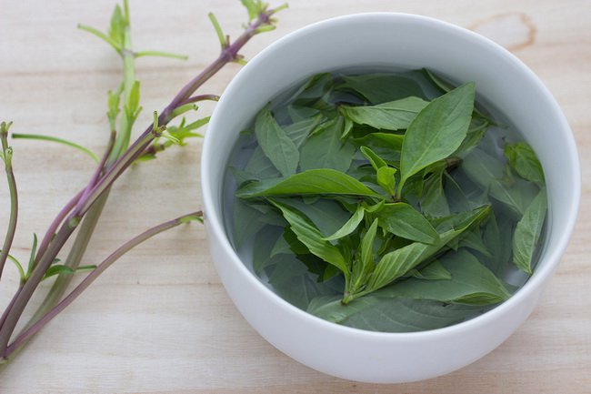 Medicinal Uses and Health Benefits of Basil