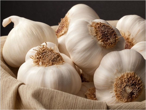 Health Benefits and Uses For Garlic