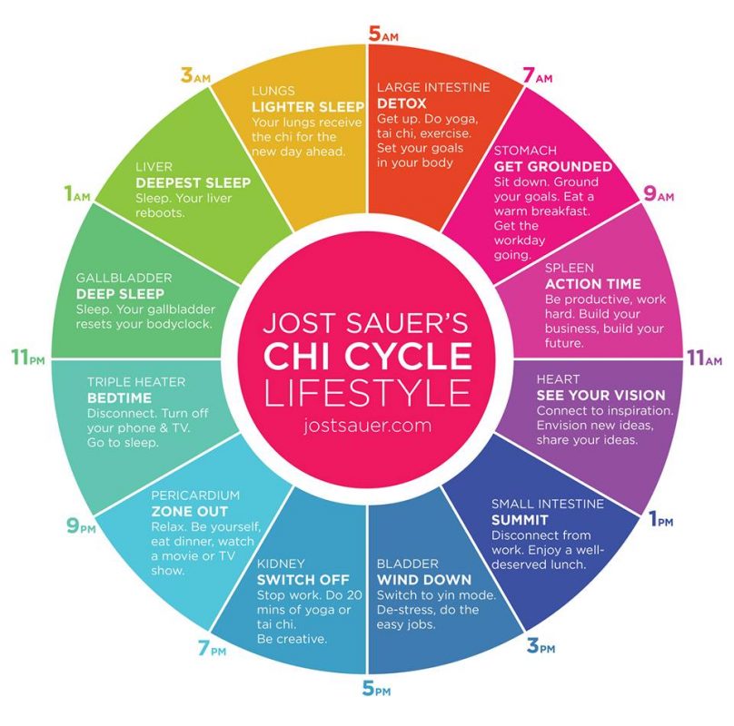 The Art of Living The Chi Cycle Lifestyle