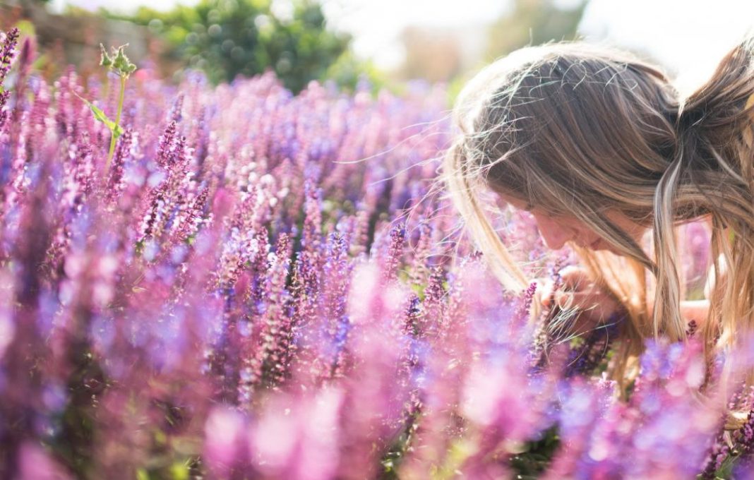 Relax and Stress Relief with Lavender